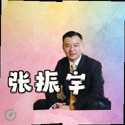 张振宇